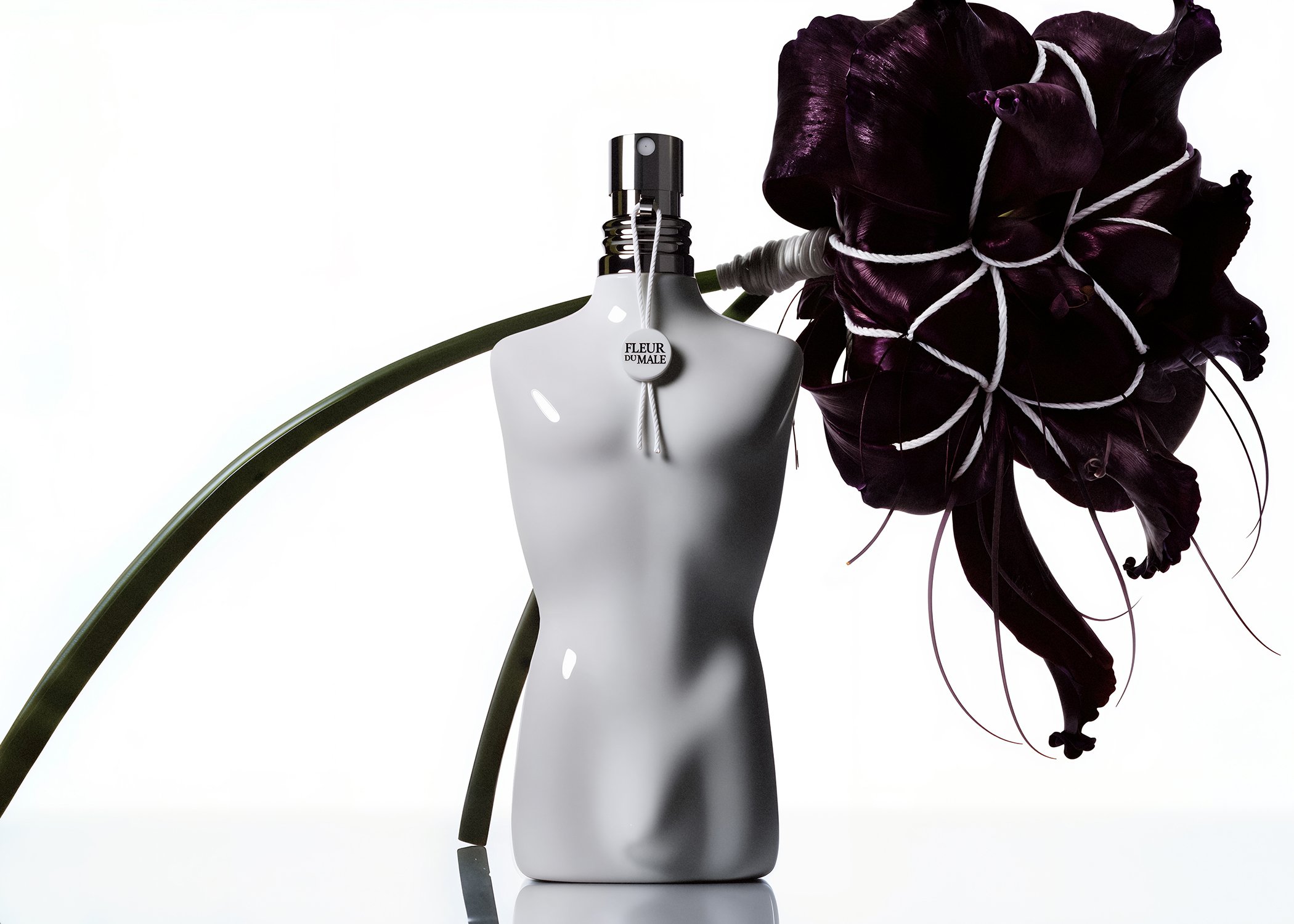 tuile-fleur-du-male.jpg