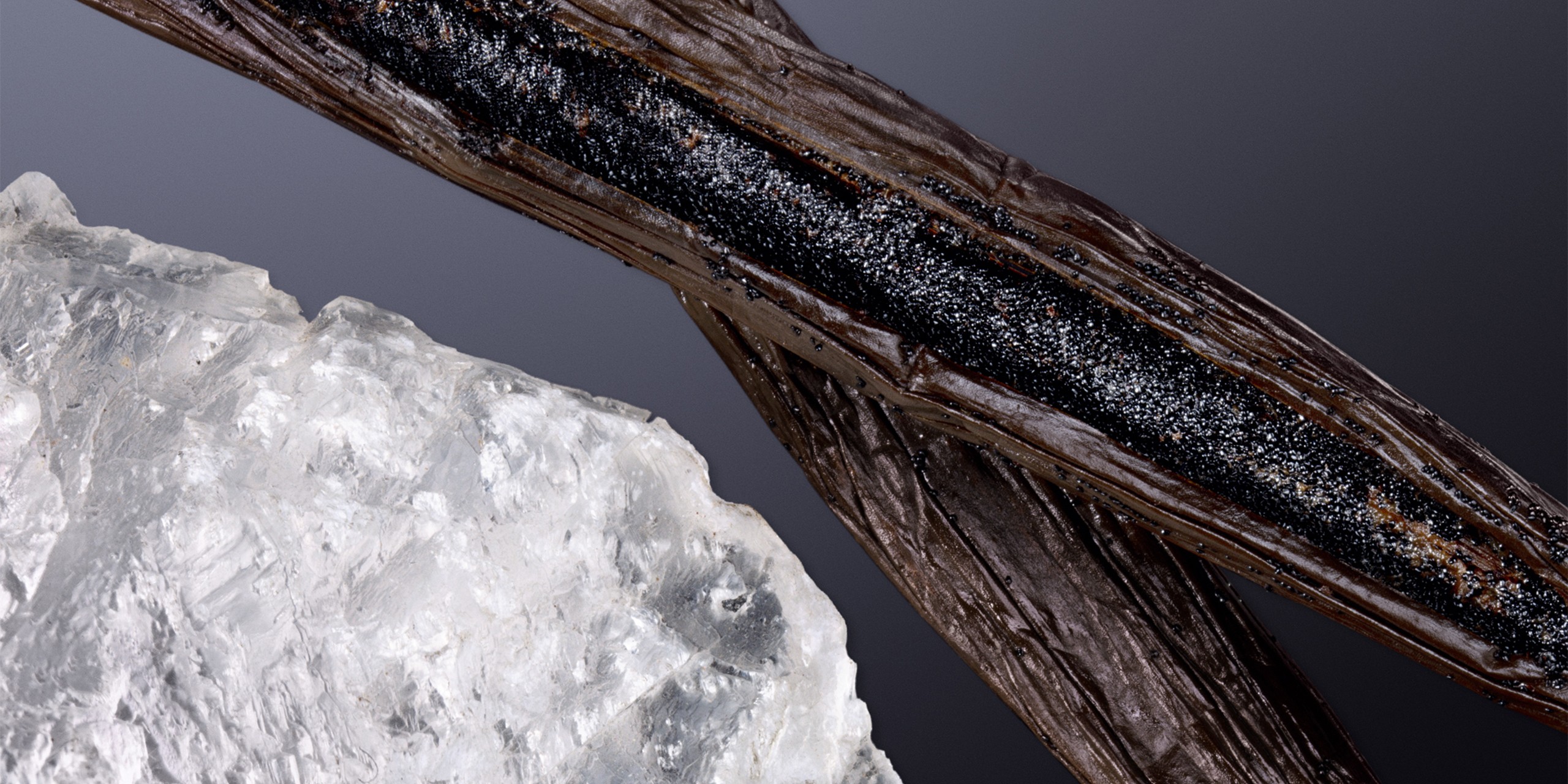 header-slideshow-pdp-les-ateliers-musc-terrible-ingredient.jpg