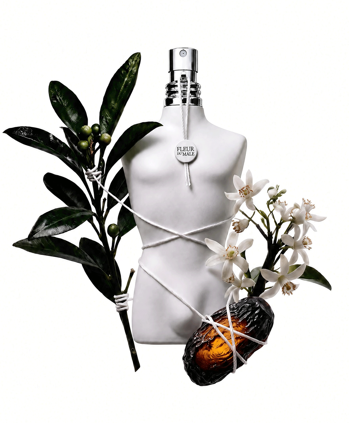 visuel-ingrédients-fleur-du-male.png