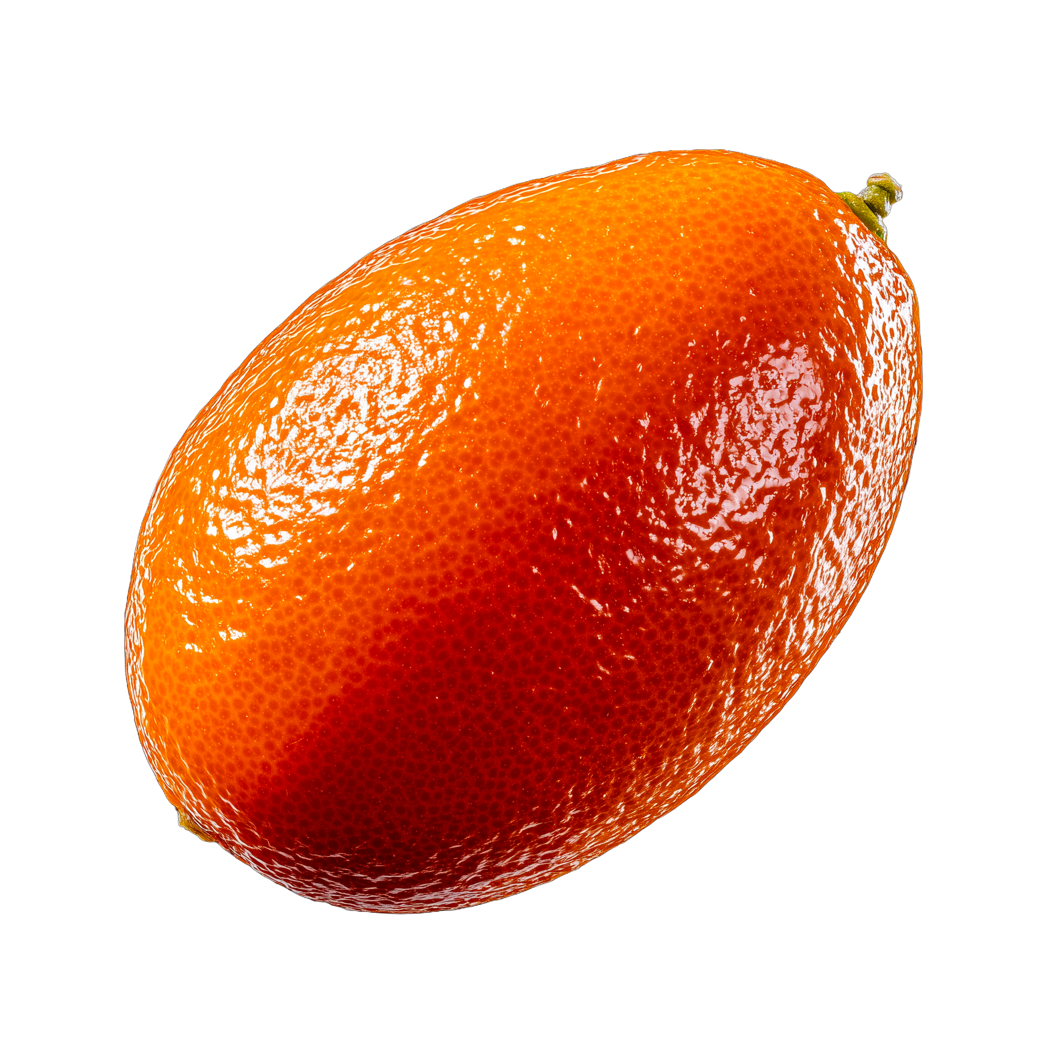 Kumquat