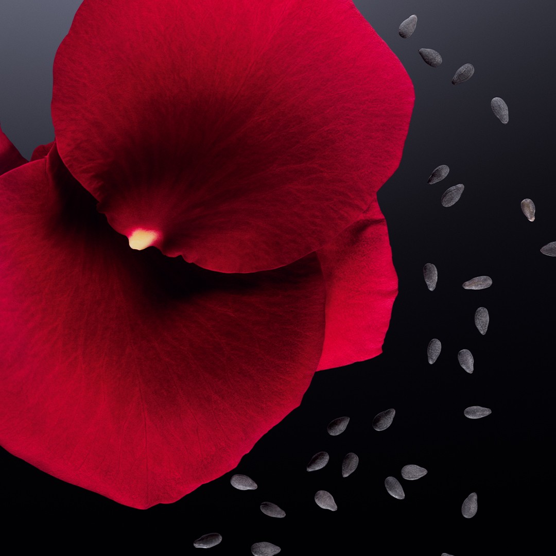 Discover Les Ateliers by Jean Paul Gaultier