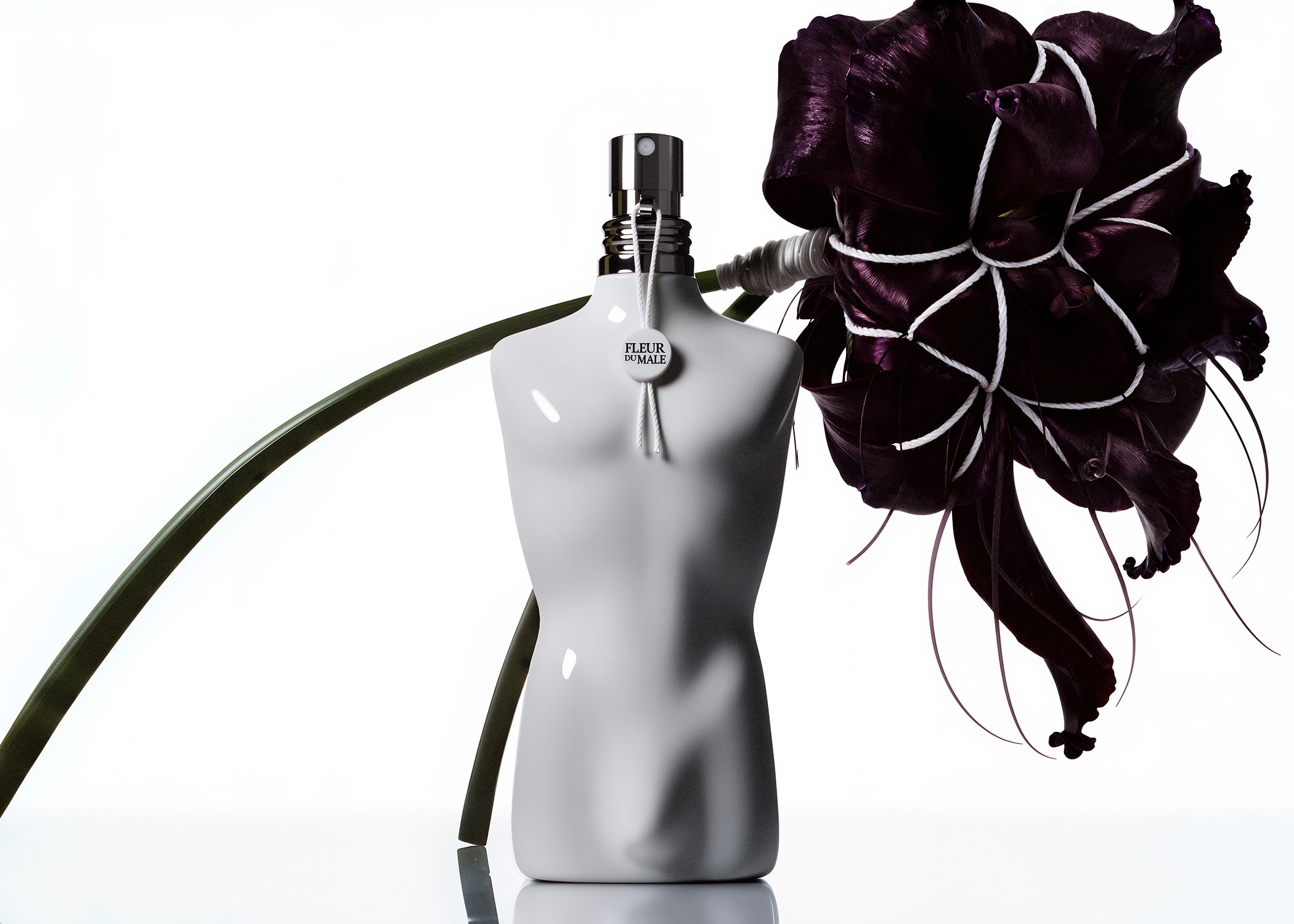 tuile-fleur-du-male.jpg