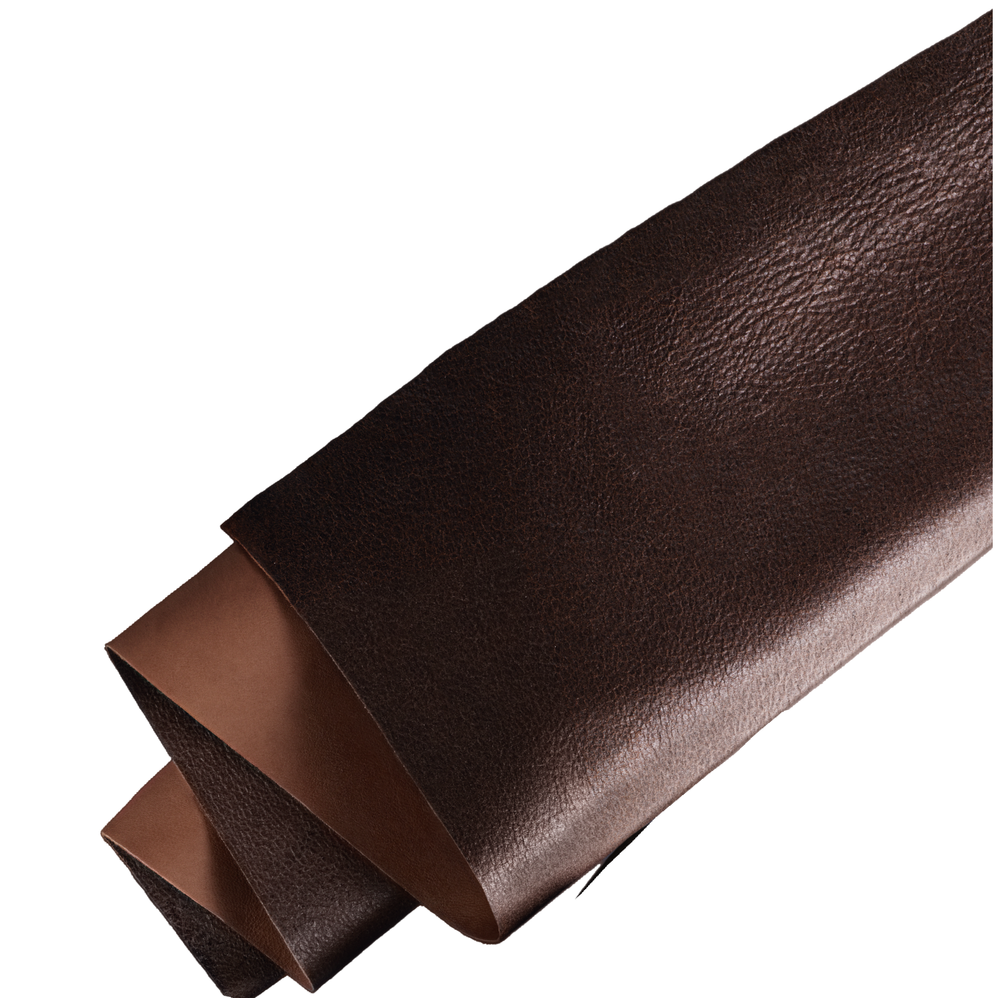 Cuir