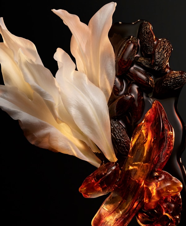 ingredients-the-new-gaultier-feminity.jpg